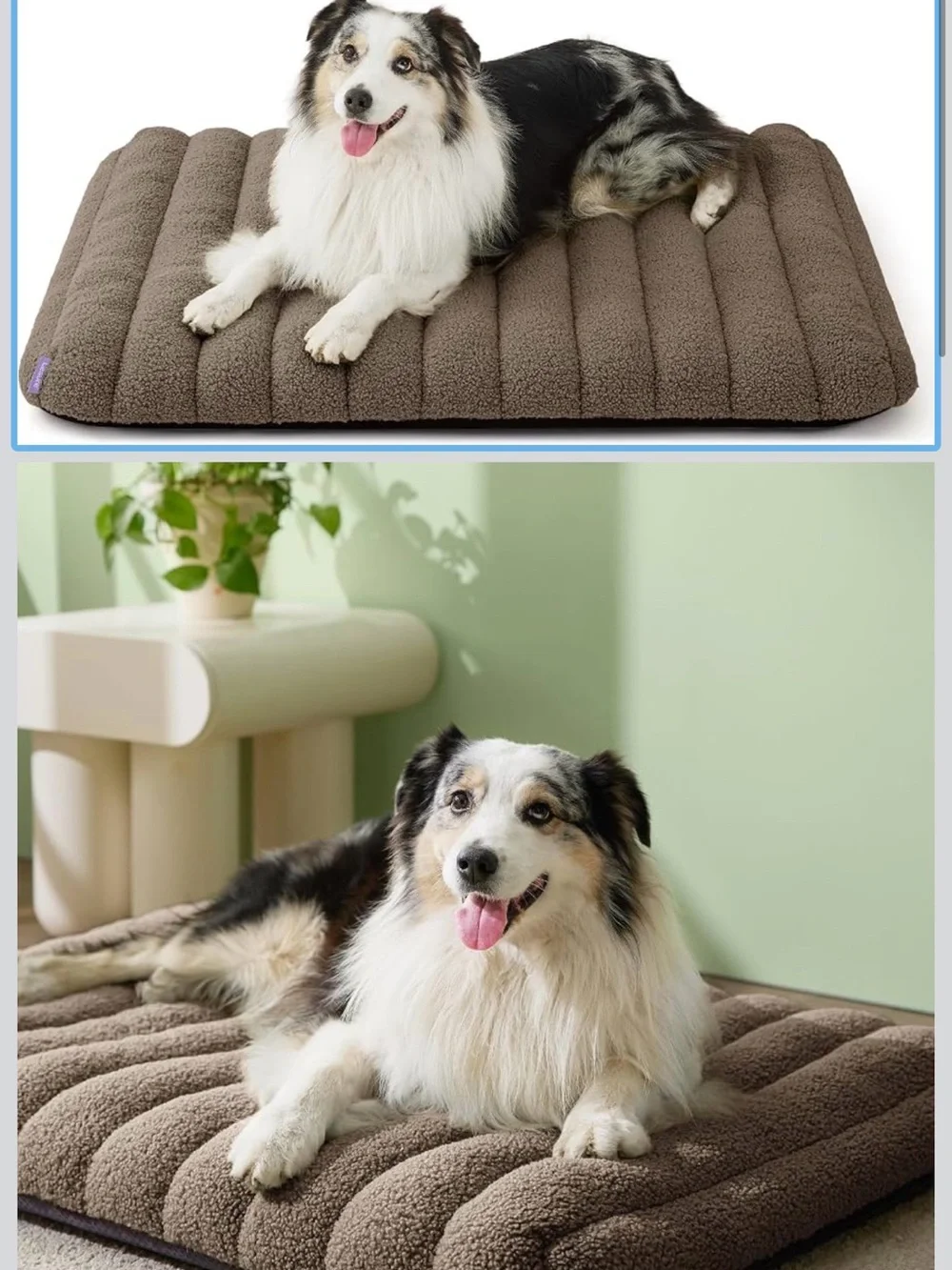 36x27” Brown Dog Bed Memory foam washable cover
